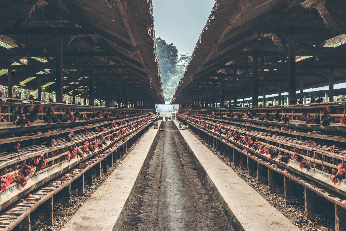 Farm Equipment